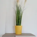 Apartament Sime *